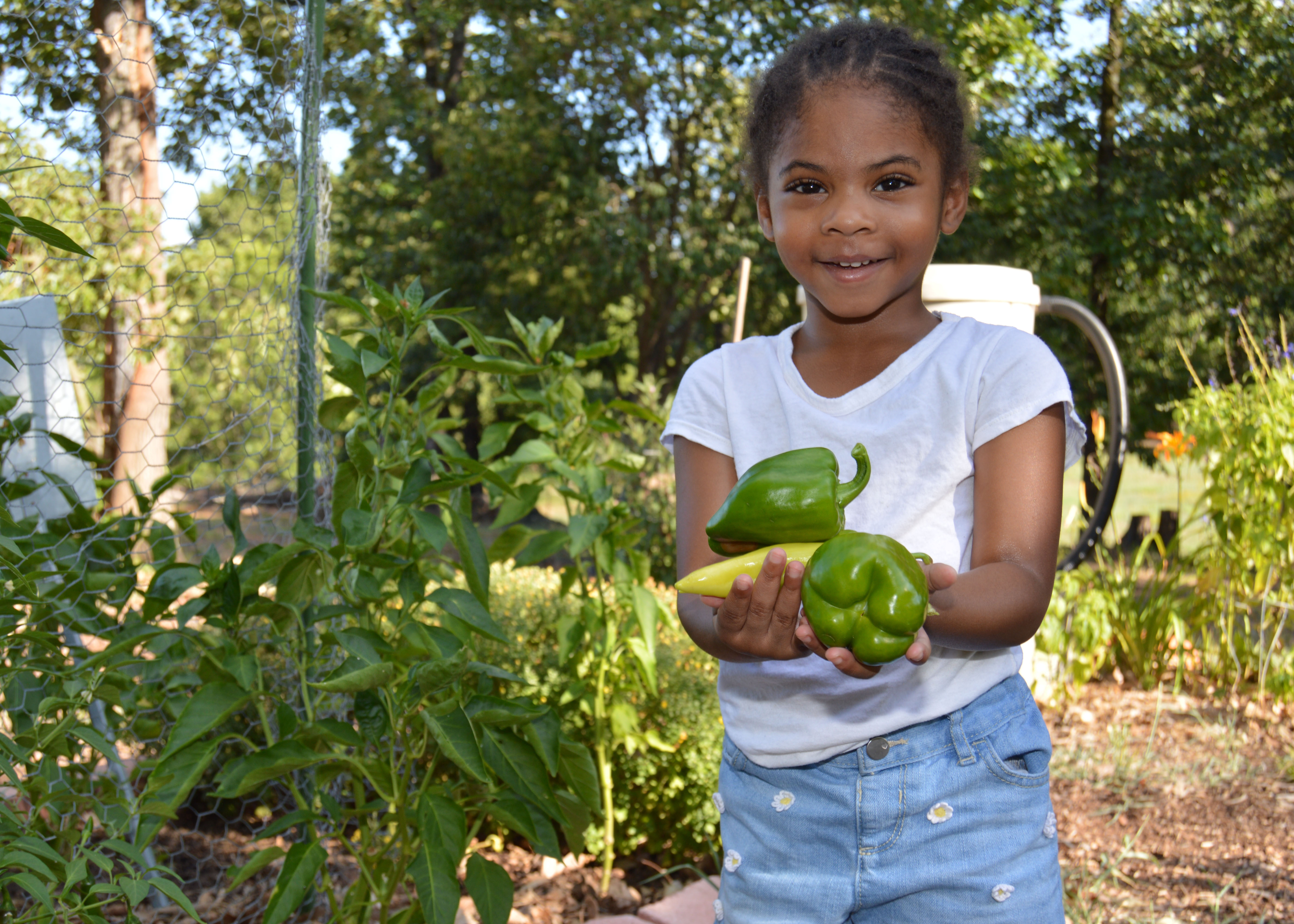 Shreveport Community Health Hubs help citizens improve lifestyle